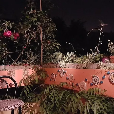 House, Cosy Garden Paris *