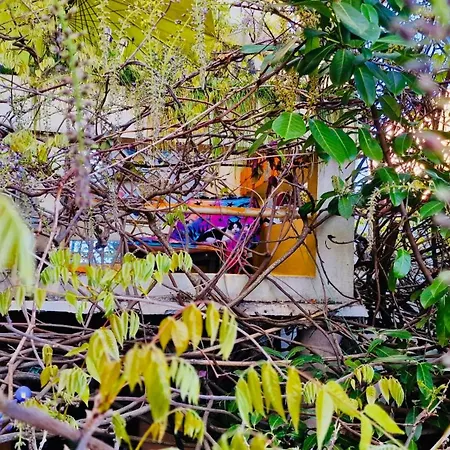 Apartment House, Cosy Garden Paris *
