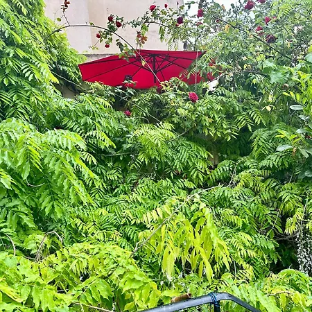 アパート House, Cosy Garden Paris